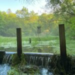 highres_497711355-1zFgdQ.tmp_